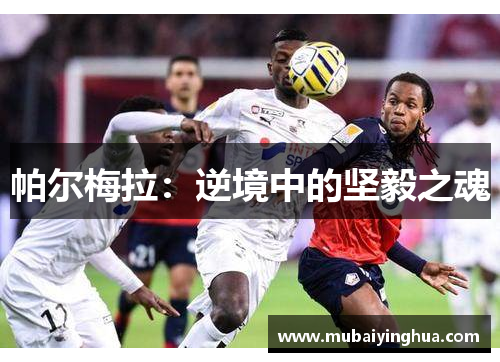 帕尔梅拉：逆境中的坚毅之魂